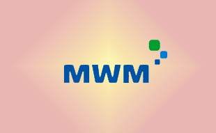 ✓ MWM 0400 5927 Запчасть MWM 